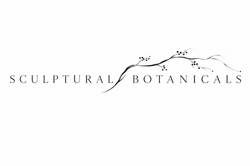 Sculptural Botanicals